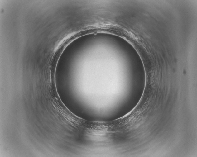 X0000060251214200510281136
