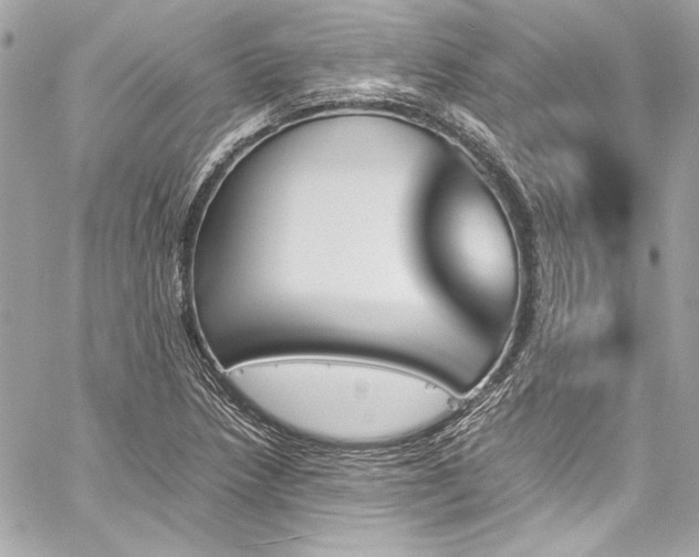 X0000060251218200510281136