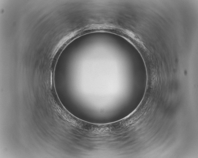X0000060251221200510281136