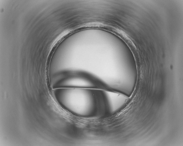 X0000060251229200510281136