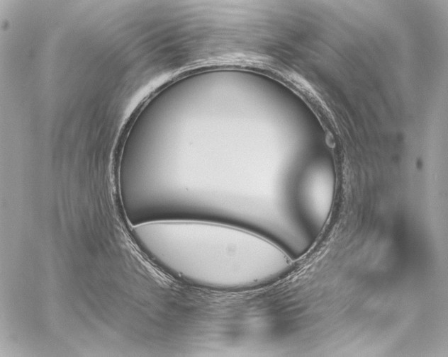 X0000060251230200510281136