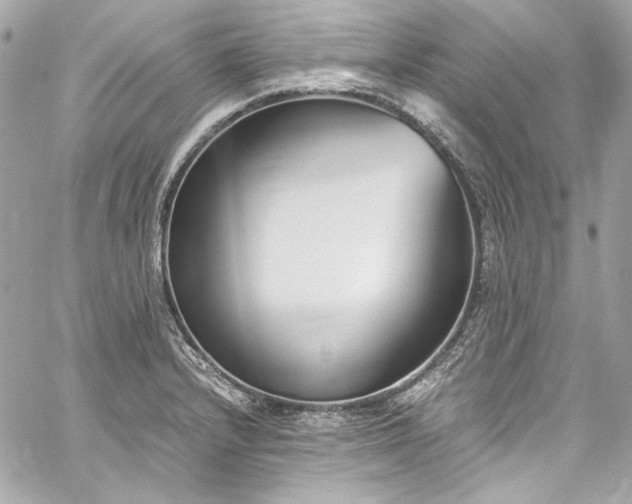 X0000060251232200510281136