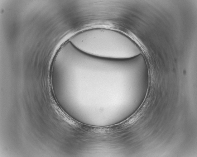 X0000060251240200510281136