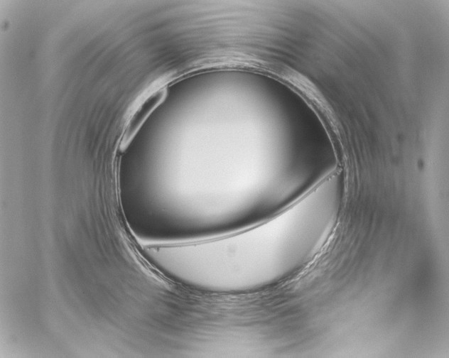 X0000060251242200510281136
