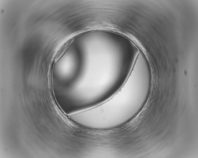 X0000060251246200510281136