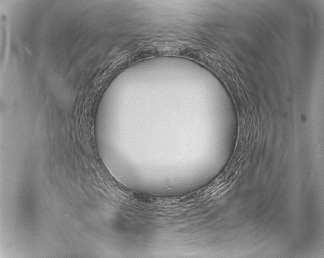 X0000060251249200510281135