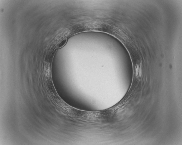 X0000060251251200510281135