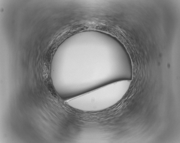 X0000060251253200510281135