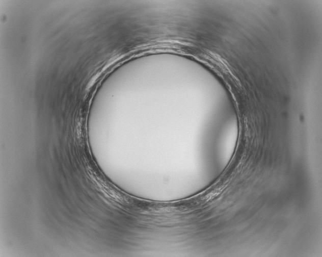 X0000060251260200510281135