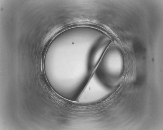 X0000060251269200510281135
