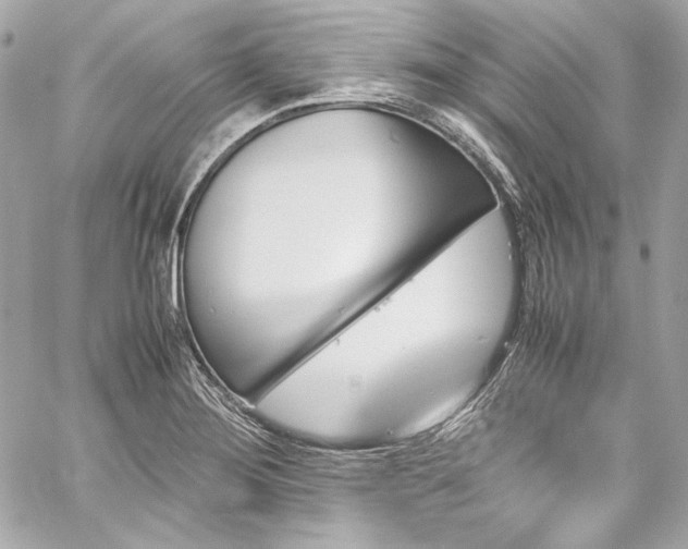 X0000060251276200510281135