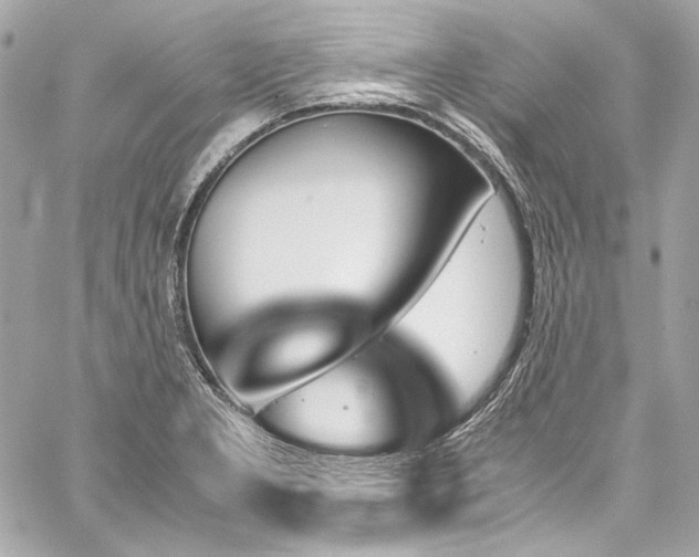 X0000060251277200510281135