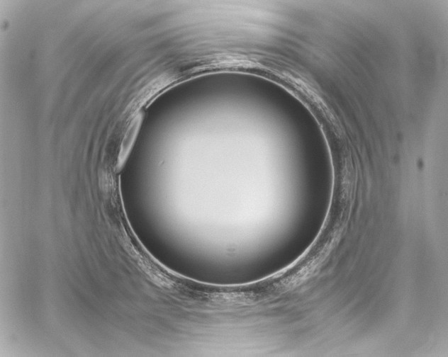X0000060251281200510281135