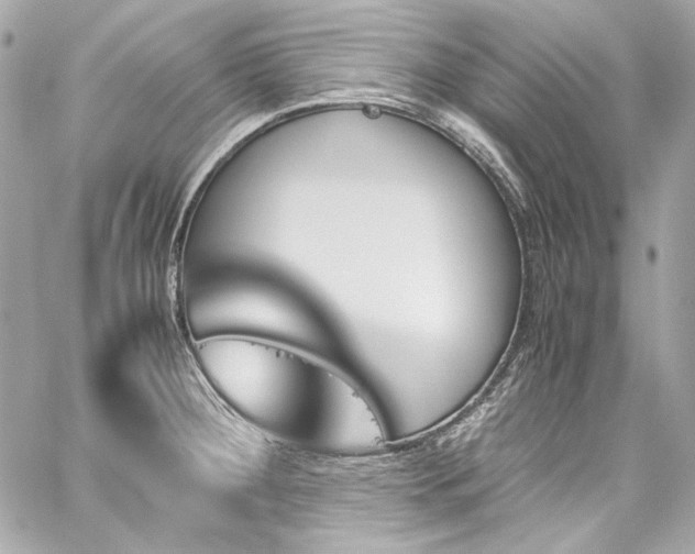X0000060251284200510281135