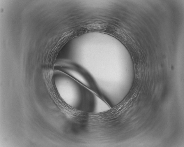 X0000060251297200510281134