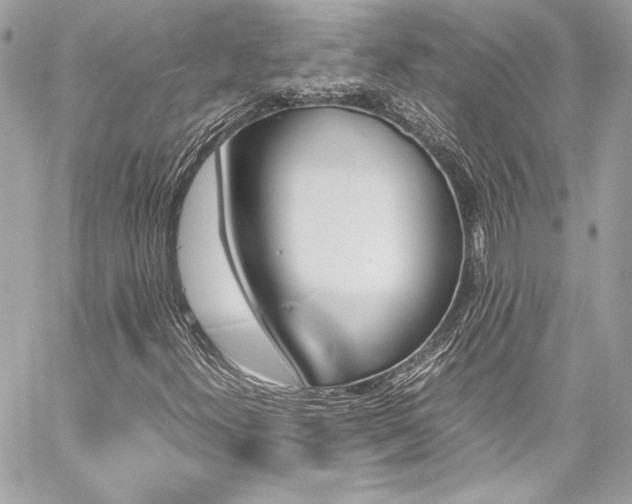 X0000060251300200510281134