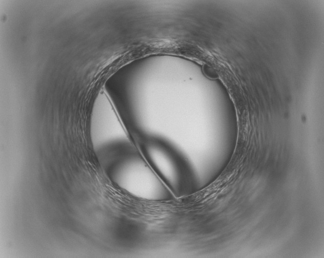 X0000060251301200510281134