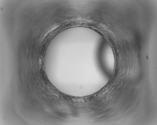 X0000060251302200510281134