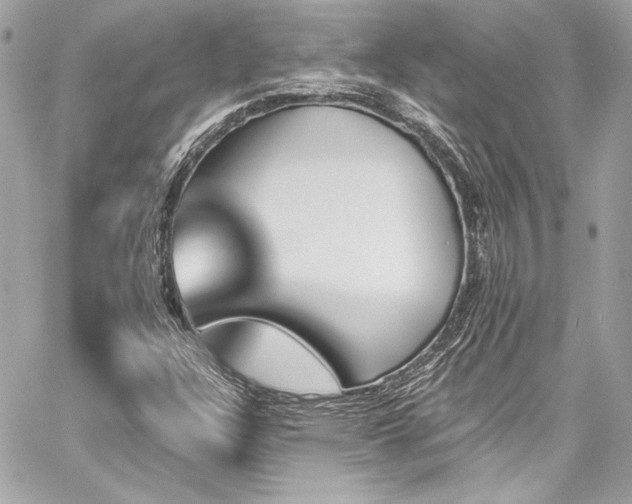 X0000060251304200510281134