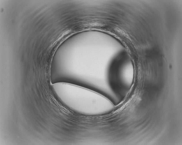 X0000060251305200510281134