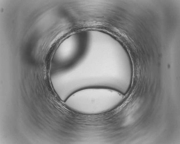 X0000060251306200510281134