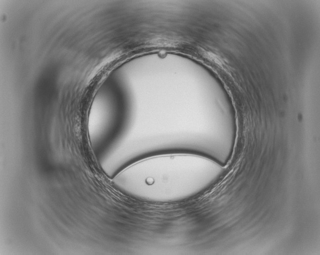 X0000060251307200510281134