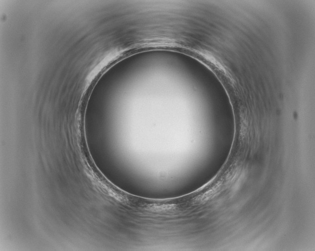 X0000060251325200510281134
