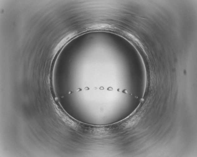 X0000060251330200510281134