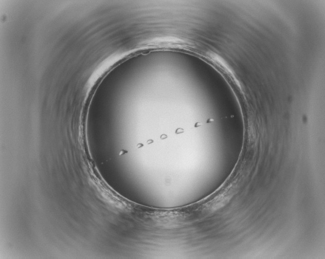 X0000060251336200510281135