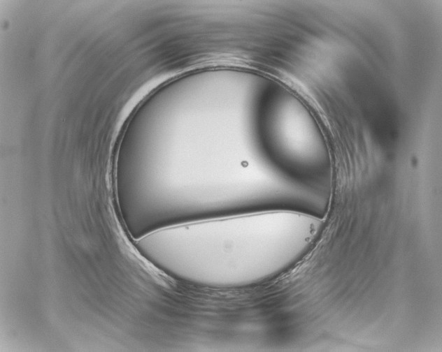 X0000060251339200510281135