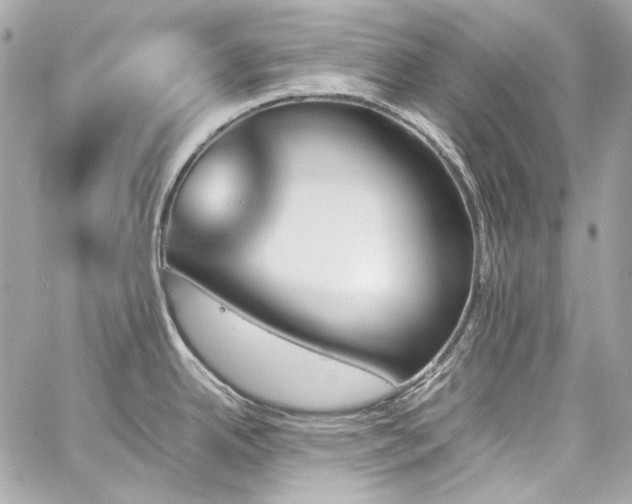 X0000060251342200510281135