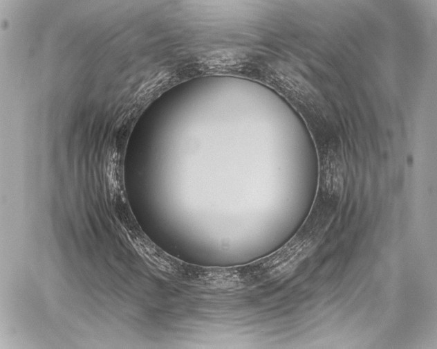 X0000060251346200510281134