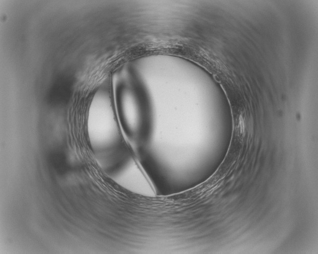X0000060251348200510281134