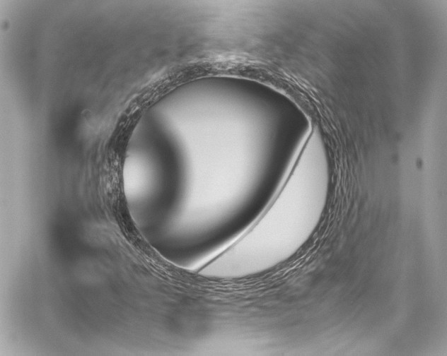 X0000060251349200510281134