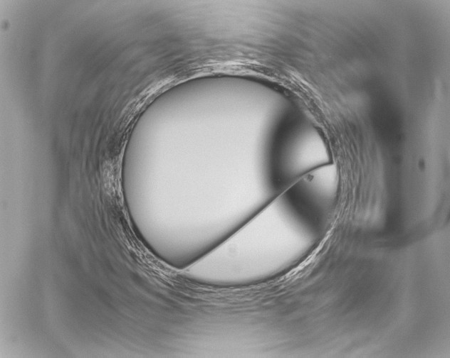 X0000060251353200510281134
