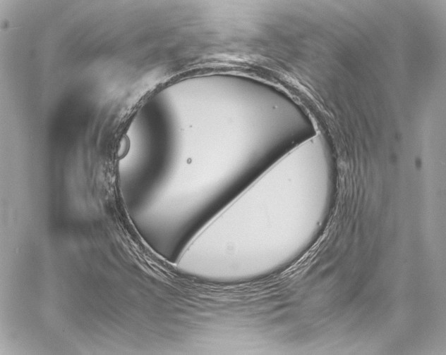 X0000060251355200510281134