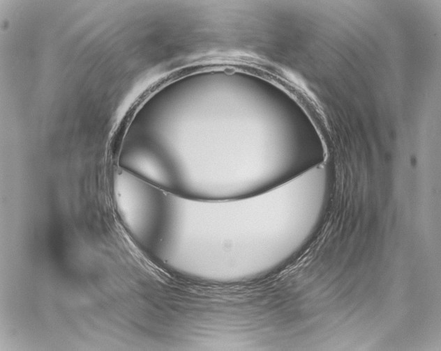 X0000060251368200510281134