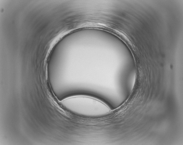 X0000060251371200510281133