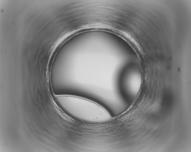 X0000060251372200510281133