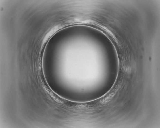 X0000060251373200510281133