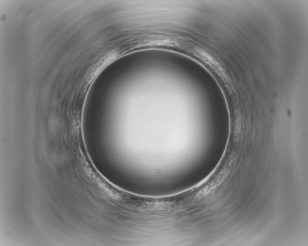 X0000060251377200510281133