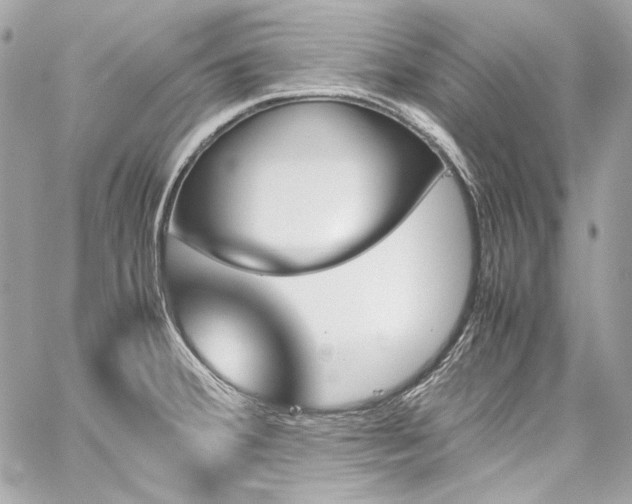 X0000060251380200510281133