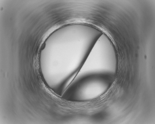 X0000060251382200510281133