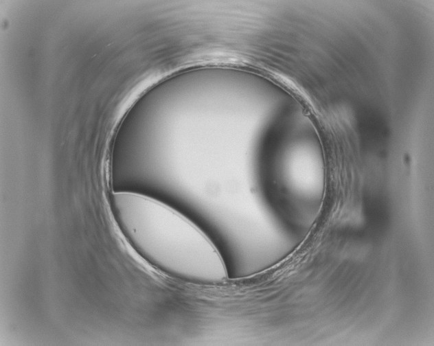 X0000060251383200510281133