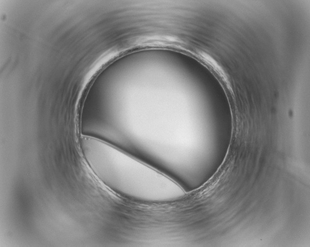 X0000060251384200510281133