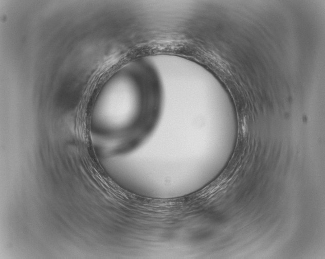 X0000060251396200510281132