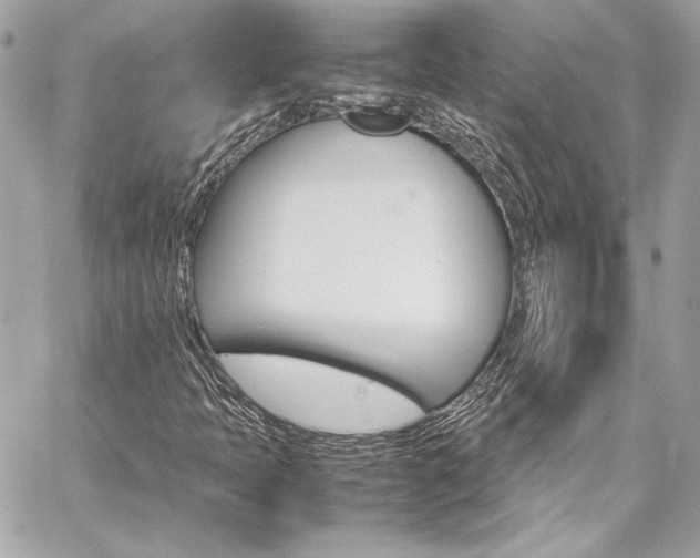 X0000060251397200510281132