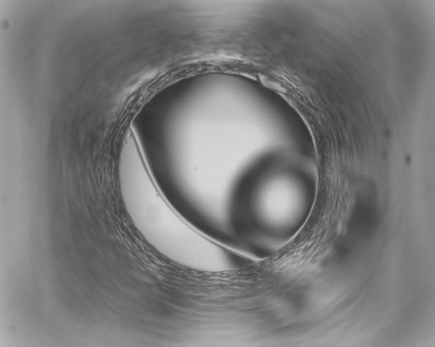 X0000060251398200510281132