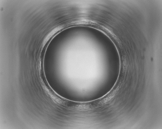 X0000060251418200510281133