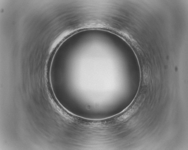 X0000060251422200510281133